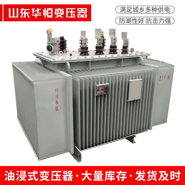 S13-10000/35仲巴仲巴仲巴电力变压器厂家