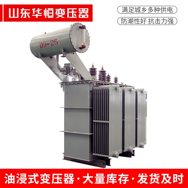 S11-10000/35仲巴仲巴仲巴电力变压器厂家